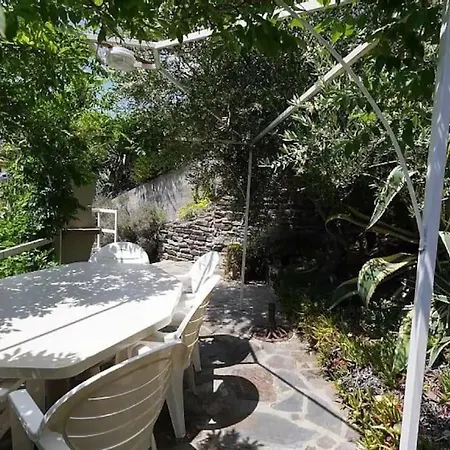 Grand Dans Maison-proche Centre Collioure-terrasse-jardin