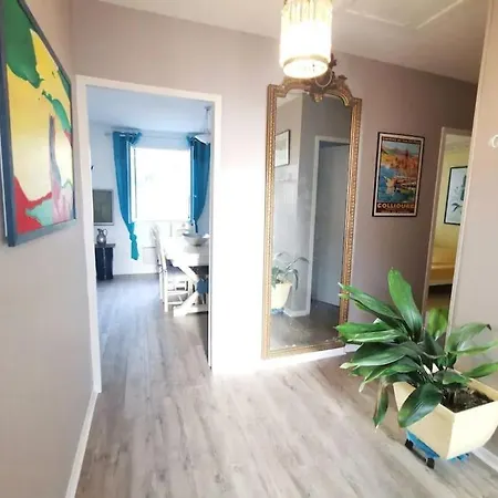 Grand Appartement Dans Maison-Proche Centre Collioure-Terrasse-Jardin