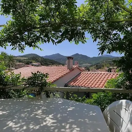 Grand Dans Maison-proche Centre Collioure-terrasse-jardin