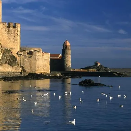 아파트 Grand Appartement Dans Maison-Proche Centre Collioure-Terrasse-Jardin 콜리우르