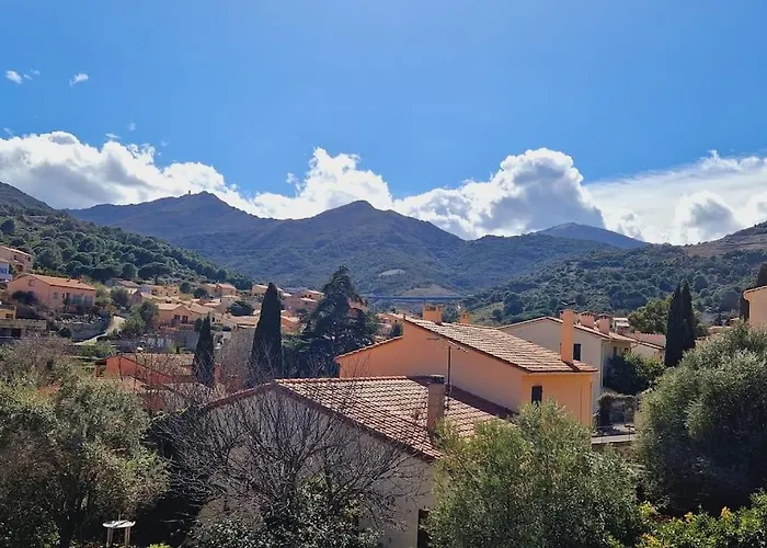 Διαμέρισμα Grand Dans Maison-proche Centre Collioure-terrasse-jardin *