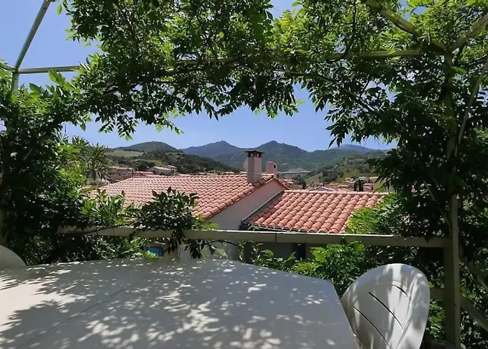 Grand Dans Maison-proche Centre Collioure-terrasse-jardin