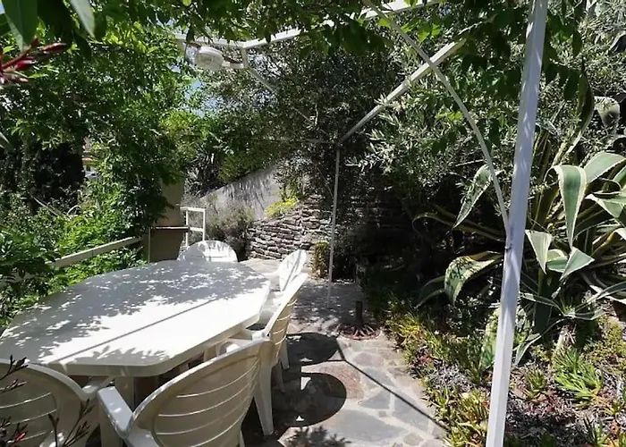 Grand Dans Maison-proche Centre Collioure-terrasse-jardin